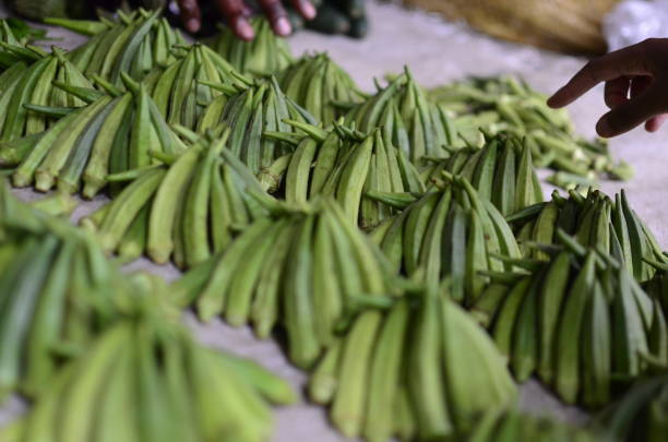 istock Okro, okra, lady fingers 1213977561