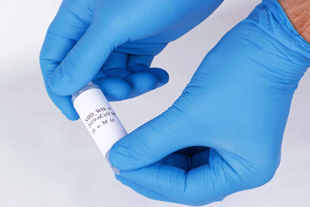 istock Coronavirus Test being held by two blue gloved hands with white background 1213978805