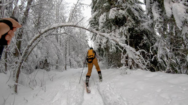 istock Backcountry skiers ascend mountain 1213980387
