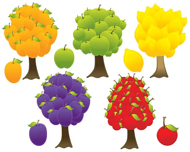 Vector illustration of Fruit Trees