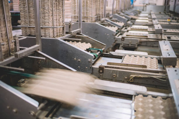 fabbrica di uova sulla selezione del processo e sulla classificazione della linea di produzione con uova fresche - food processing plant manufacturing factory food foto e immagini stock