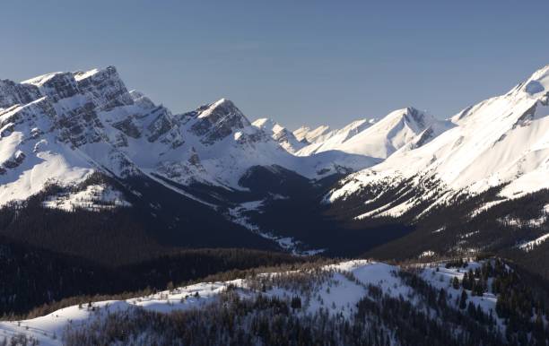 istock Banff National Park Winter Landscape 1213984994