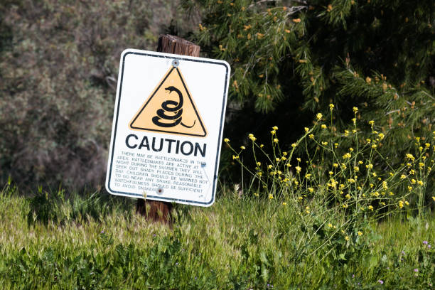 Rattlesnake Warning Sign