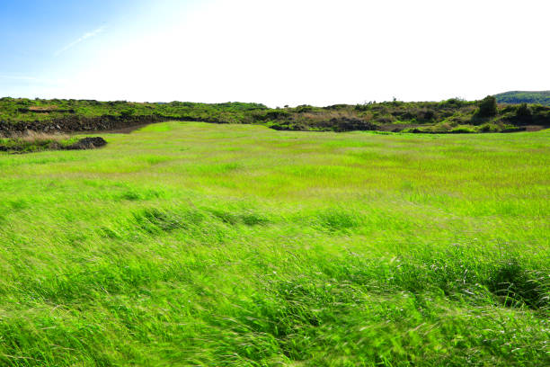 istock Jeju rural spring scenery, fields, field walls, stone walls, 1213994890