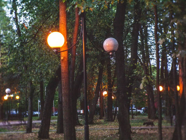 Street lights burning in the Park, Moscow