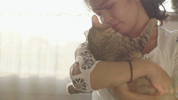 istock The cat hugging her woman. 1214003065