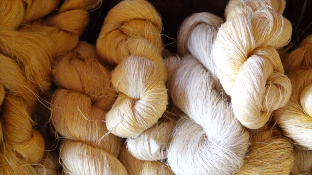 Cotton from silkwarm raw for fabric factory.