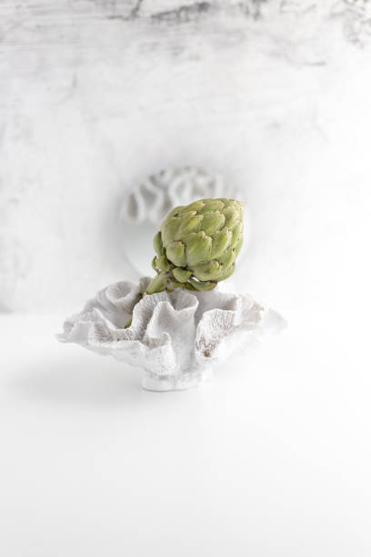 artichoke and coral on a white background with copy space