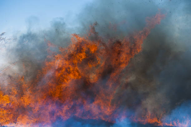 istock Fire, strong smoke. Burning reed in the swamp. Natural disaster 1214004926