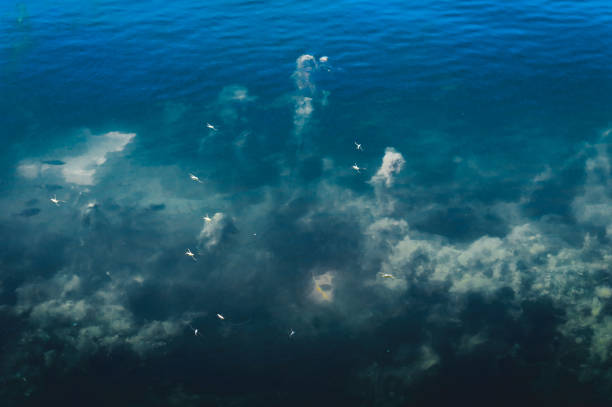 istock Deep Blue sea ocean floor Backgrounds. Abstract pattern texture and colour. Aquatic organisms sea Life backdrop. Natural Wallpapers design elements. 1214008093