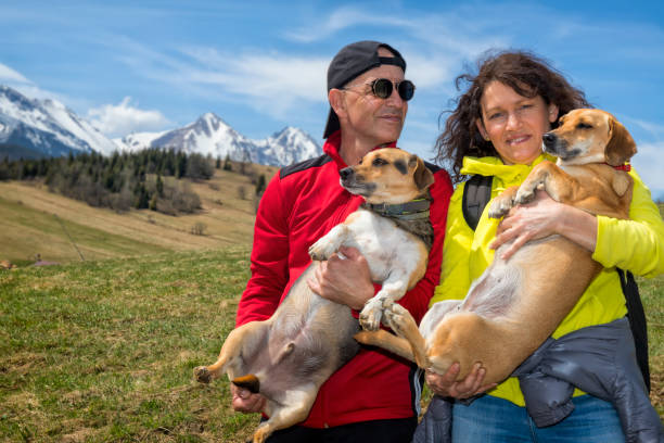 istock Holidays with dogs in Tatra Mountains 1214012366