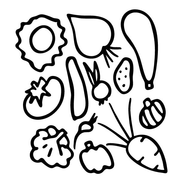 ilustrações de stock, clip art, desenhos animados e ícones de black and white set of hand drawn vegetables. - cauliflower vegetable black illustration and painting