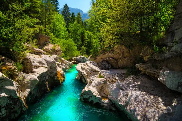 Photo of Emerald color Soca river with beautiful narrow canyon, Bovec, Slovenia