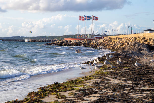 istock Summerday by the beach in sunny Helsingborg, Sweden 1214015605