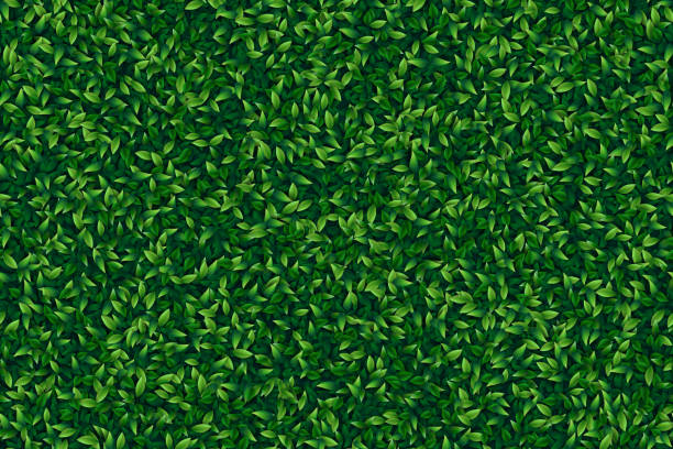 grün hinterlässt realistischen nahtlosen hintergrund - lush green stock-grafiken, -clipart, -cartoons und -symbole