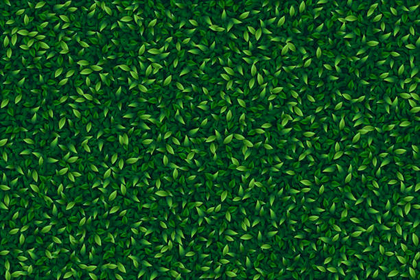 緑色の葉現実的な背景 - backgrounds color image directly above full frame点のイラスト素材／クリップアート素材／マンガ素材／アイコン素材
