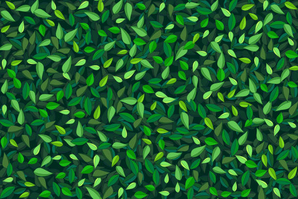illustrations, cliparts, dessins animés et icônes de fond de feuilles dessinées à la main vertes - full frame leaf lush foliage backgrounds