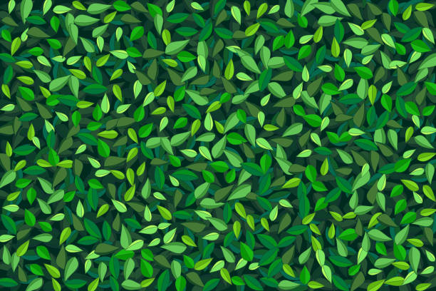 zielona ręcznie rysowana pozostawia bezszwowe tło - backgrounds color image directly above full frame stock illustrations