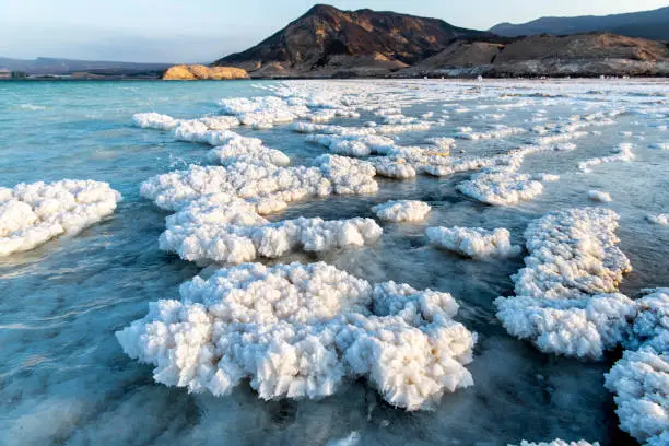 Africa, Djibouti, Lake Assal. Salt crystals emerging from the water with mountains in the background