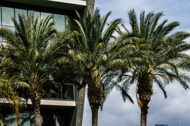 istock Colors of Cyprus 1214022862