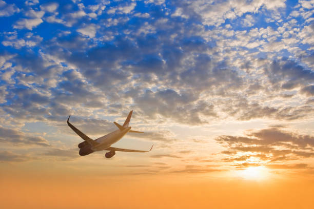 istock airplane silhouette fly across a sky at the sunset 1214022863