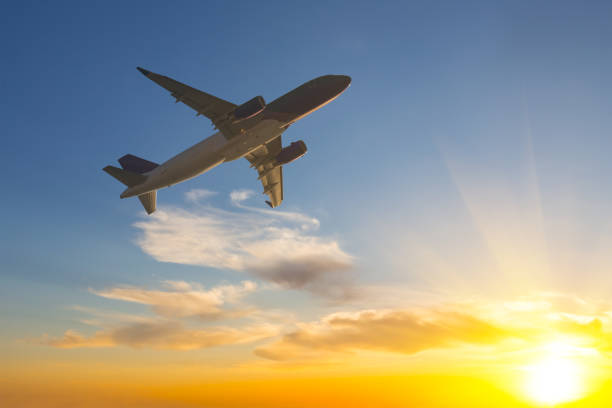 istock airplane silhouette fly across a sky at the sunset 1214022868
