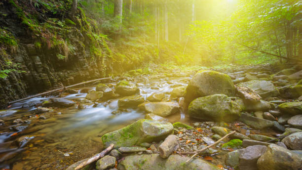 istock river rushing through mountain canyon, mountain river in asparkle sunlight 1214023195