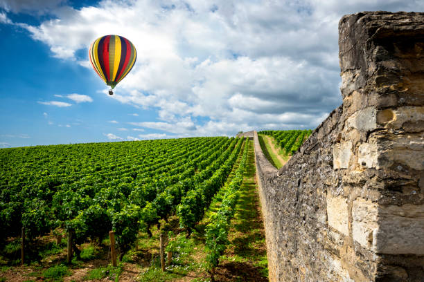 burgundy. hot air balloon over the vineyards of the burgundy. france - grass area field air sky imagens e fotografias de stock