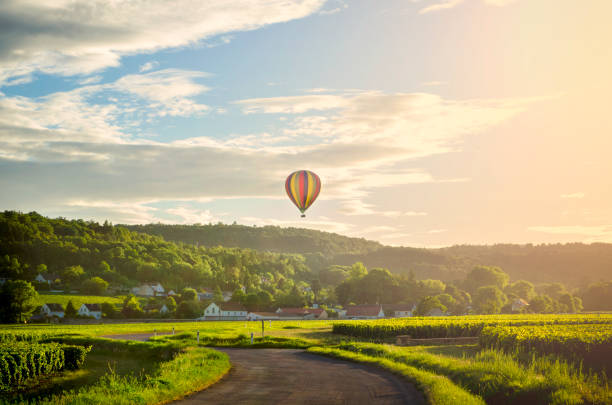 burgund. heißluftballon über den weinbergen des burgunds. frankreich - burgund frankreich stock-fotos und bilder