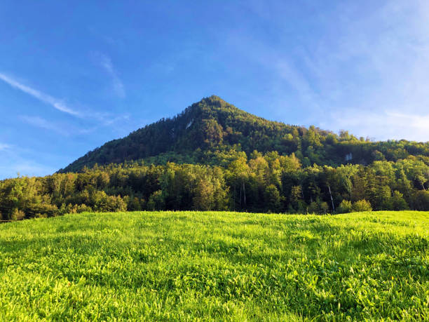 istock Mountain peak Nollen with mixed forest and along Lake Lucerne or Vierwaldstaetersee lake (Vierwaldstattersee or Vierwaldsättersee), Buochs - Canton of Nidwalden, Switzerland 1214025020