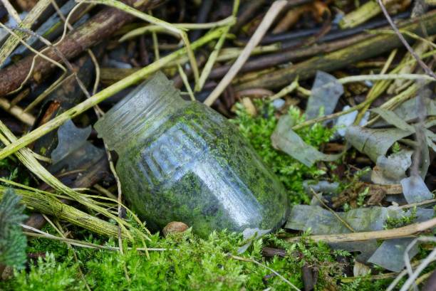 garbage from a gray glass jar lies in green moss and vegetation in nature