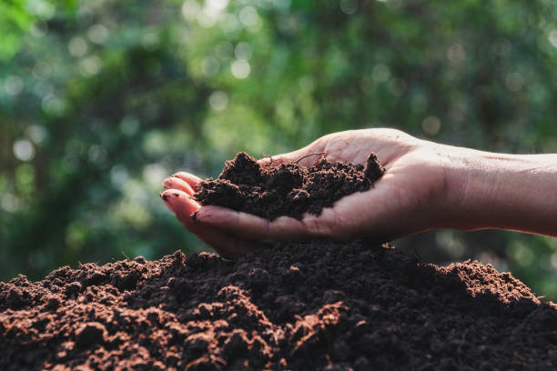 istock Hand holding soil in the hands for planting with copy space for insert text. 1214027976