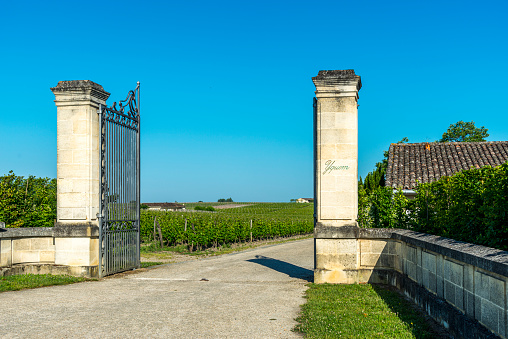 Sauternes Vineyards in France. The ChAteau d'Yquem is one of the most famous vineyards in the world, it produces white wines that are among the most expensive wines. It is known primarily for its sweet wine.The estate is located in Sauternes, a small town southeast of Bordeaux. It is the only commodity of Bordeaux, on the occasion of the classification of 1855 enjoys an official status as Premier Grand Cru Superieur.'