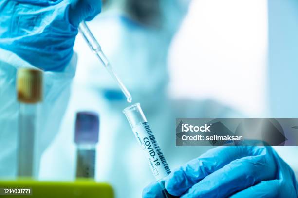 Scientist Woman Working In The Cdc Laboratory For Covid19 Stock Photo - Download Image Now