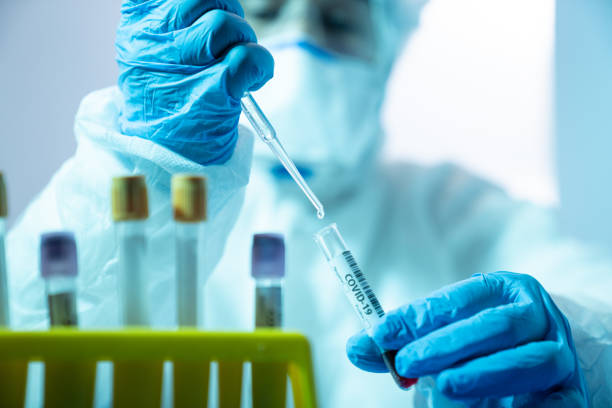 scientist woman working in the cdc laboratory for covid-19 - department of health and human services imagens e fotografias de stock