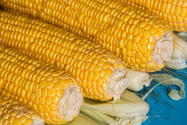 Sweetcorn, Corn on the Cob with Silk, Husk Freshly Peeled