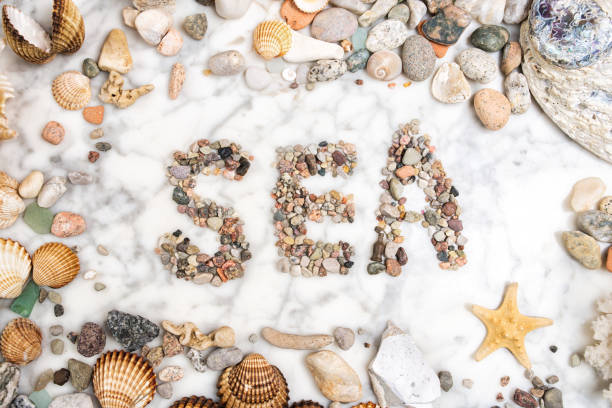 istock inscription sea with pebbles, star, stones and shells lying on a marble background, composition of sea stones and seashells, word sea written from pebbles, sea word written with stones 1214035011