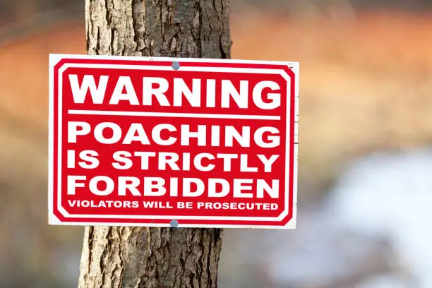 Sign nailed to a tree trunk saying "Warning, poaching is strictly forbidden, violators will be prosecuted".