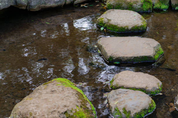 istock Japanese garden 1214040743