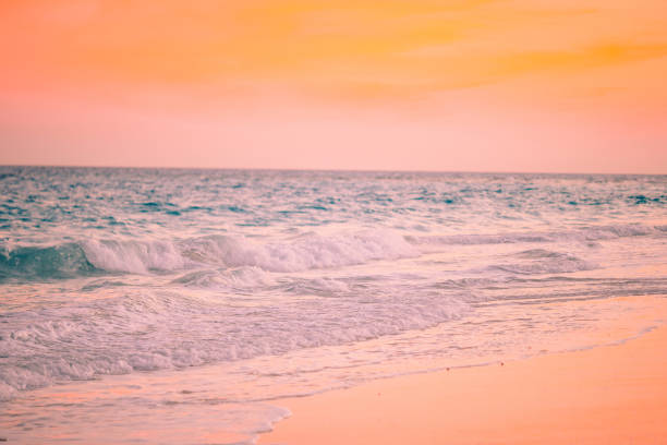 istock Amazing beautiful sunset on an exotic caribbean beach 1214040889