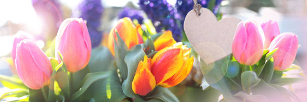 Red tulip and lilac flowers in corner arrangement isolated on white background. Flat lay. Top view.