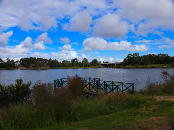 istock Birds flocking in a Park lake in Broadmeadows Melbourne 1214044557