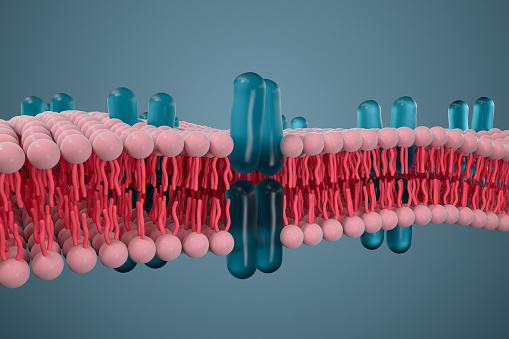 Membrana celular y biología, concepto biológico, renderizado 3D. photo
