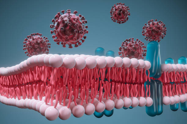 istock Cell membrane and coronavirus, medical concept, 3d rendering. 1214049660