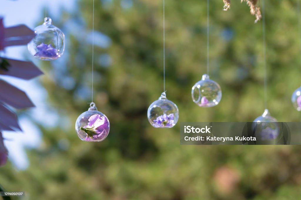 Decor details with fresh flowers. Flower buds in glass beads suspended in the air Decor details with fresh flowers. Flower buds in glass beads suspended in the air. Globe - Navigational Equipment Stock Photo