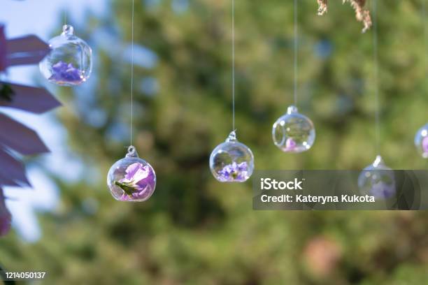 Decor Details With Fresh Flowers Flower Buds In Glass Beads Suspended In The Air Stock Photo - Download Image Now