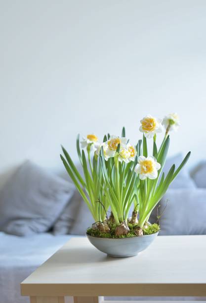 istock natural spring decoration in the living room 1214051647