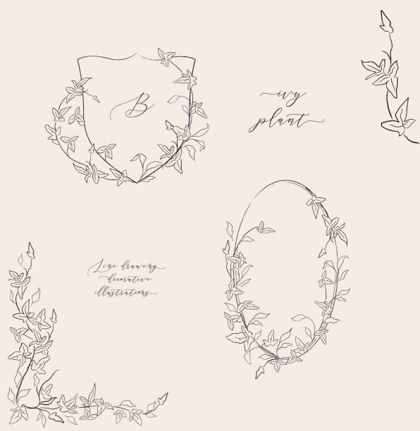 line drawing vector floral wreaths, oval frame, heraldry, hand drawn corners with plants, branches, herbs. vector art illustration