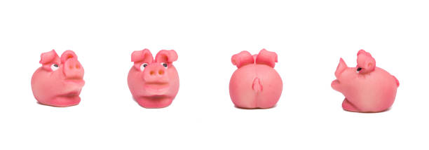 Toy Pig isolated on white background