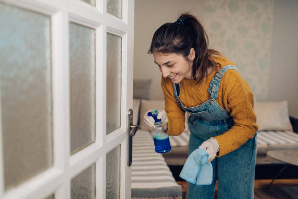 istock Young woman making sure everything is disinfected at her house 1214057917